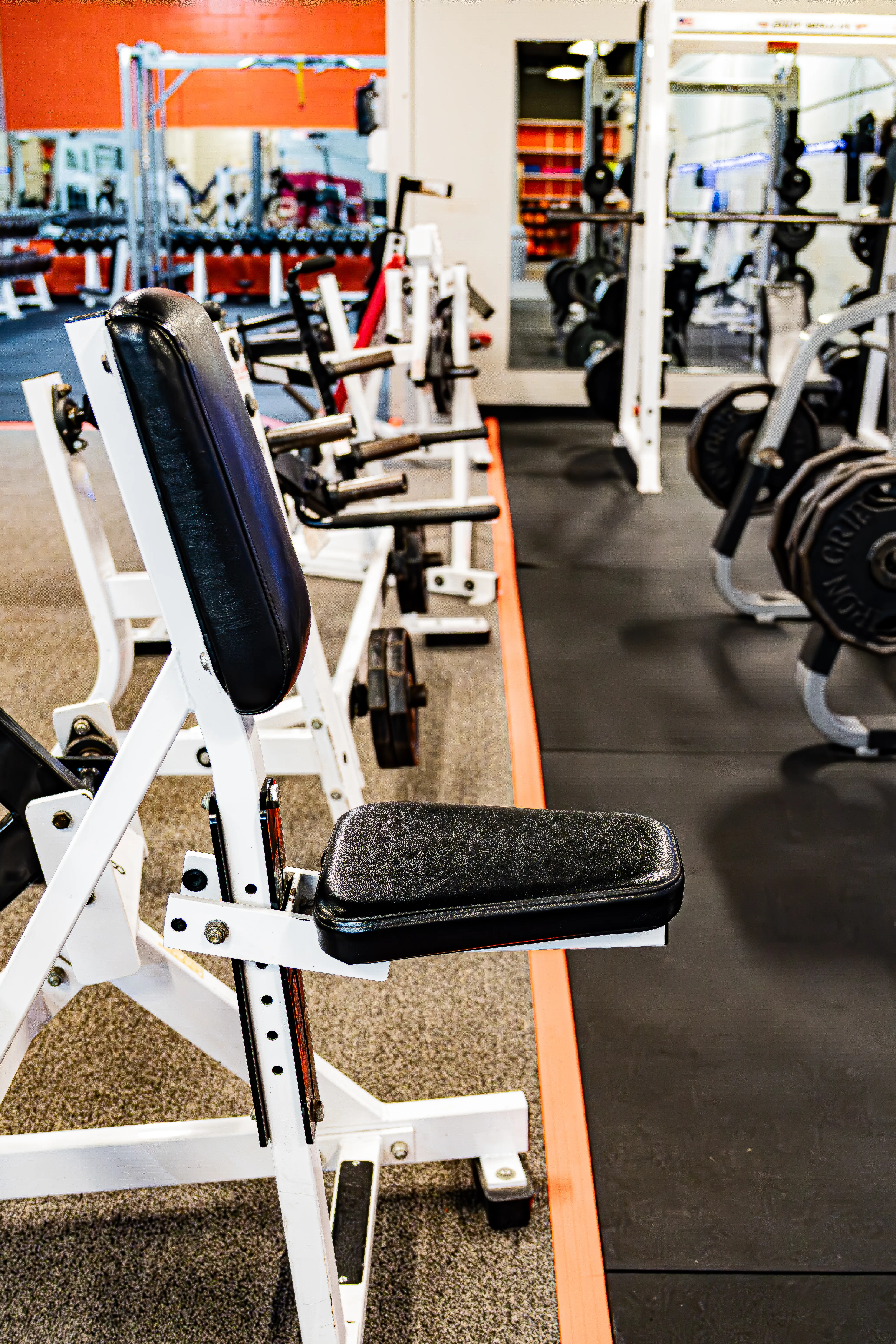Barbell and plate rack