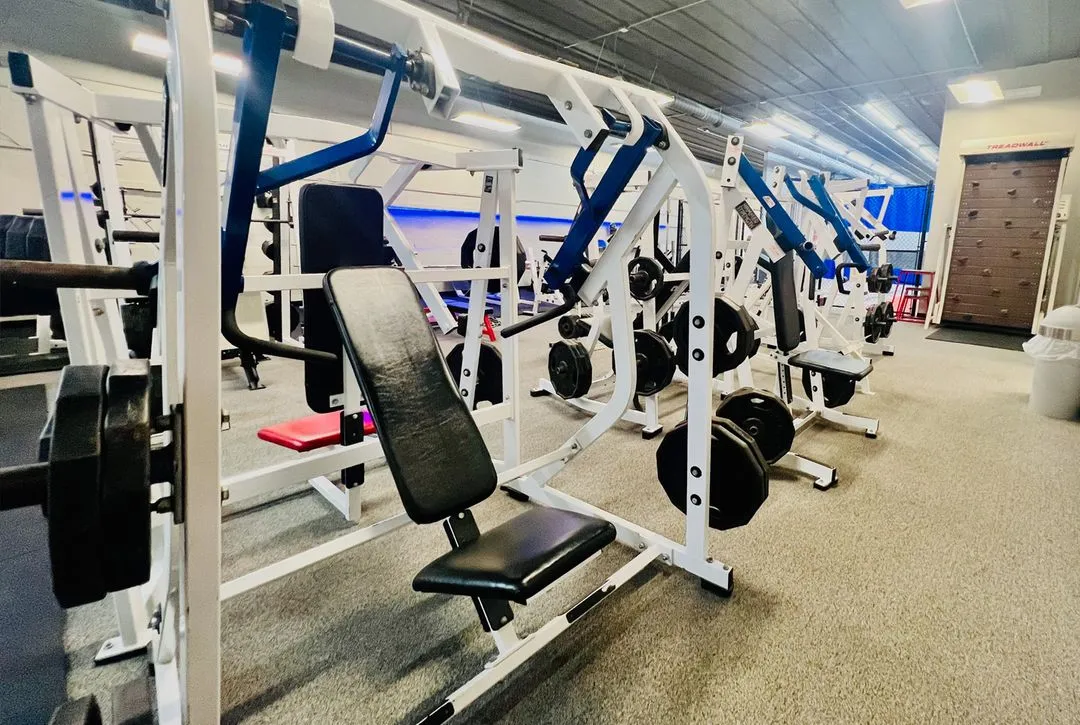 Free weights and strength training equipment